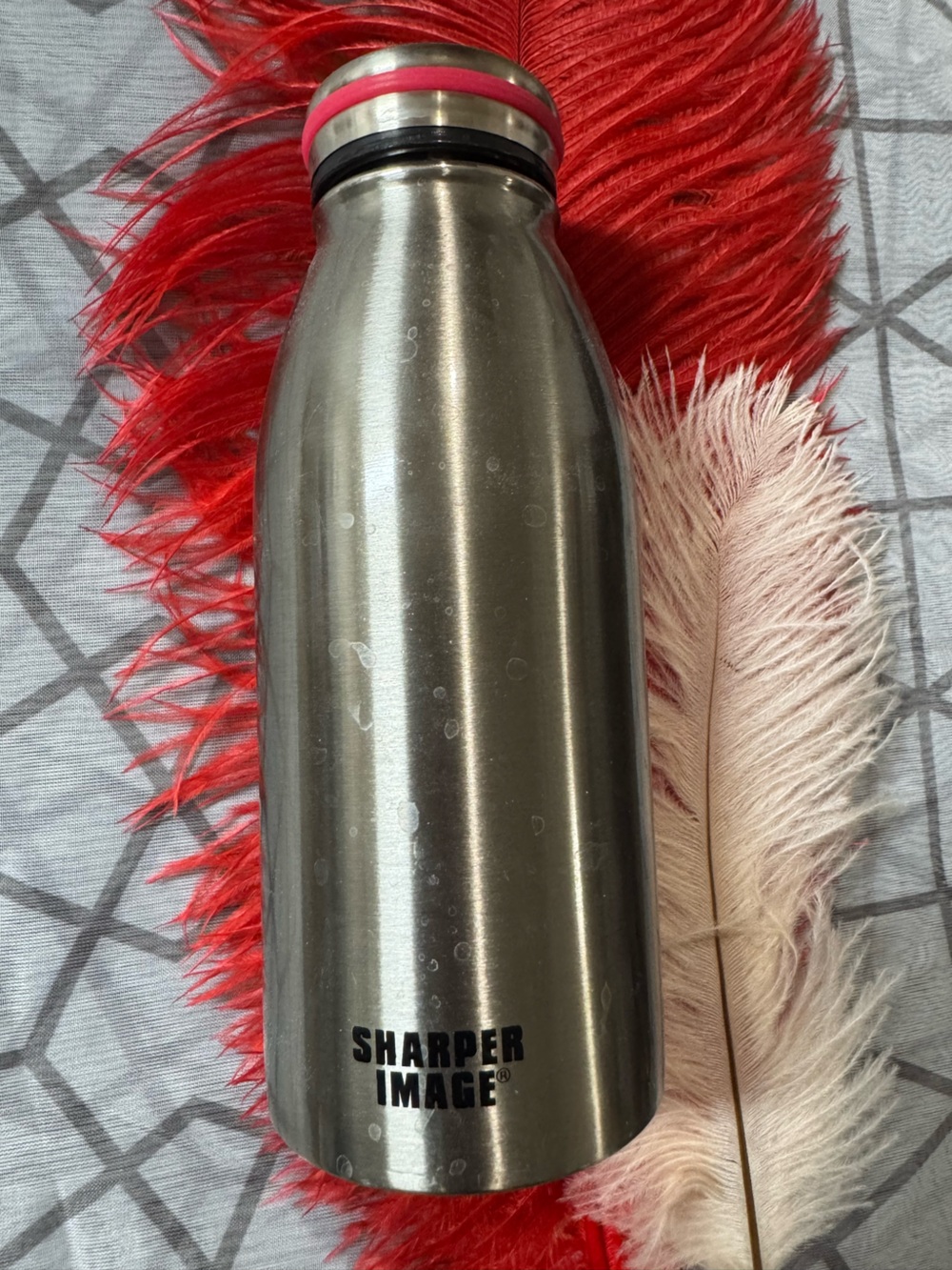 Vintage Y2K Sharper Image Stainless Steel water bottle - RARE find collectible.